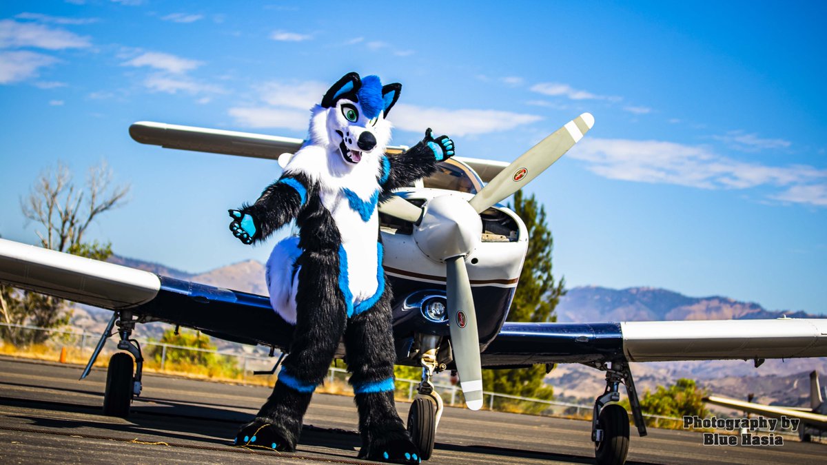 Bluehasia's tweet photo. Brought a bunch of fuzzy animals to a small airport to pose with a #PiperArrow
44
View full gallery here
https://t.co/iX88tW9nB3
If you got a photo by me and like it consider getting me some kofi
https://t.co/xRZD3kjp6w https://t.co/7qfW8vk0sf