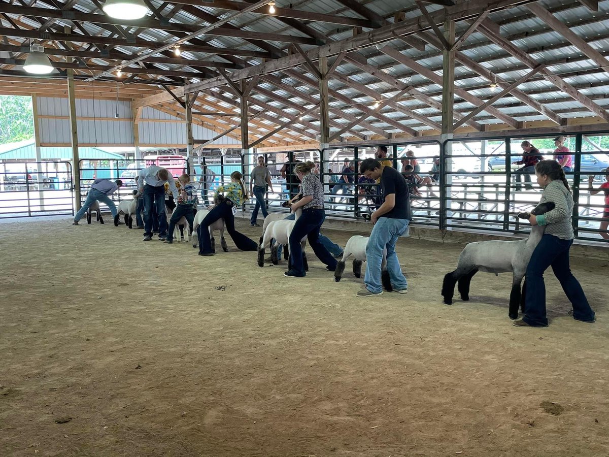 switzcoffa's tweet photo. It’s been a busy weekend for Switzerland County FFA members!From competing in the State Livestock Judging contest, to hosting a sheep and goat show, to camping at the leadership center and rounding out the weekend with the FFA Queen of Hearts contest this afternoon!! https://t.co/WDAhbSl6yD