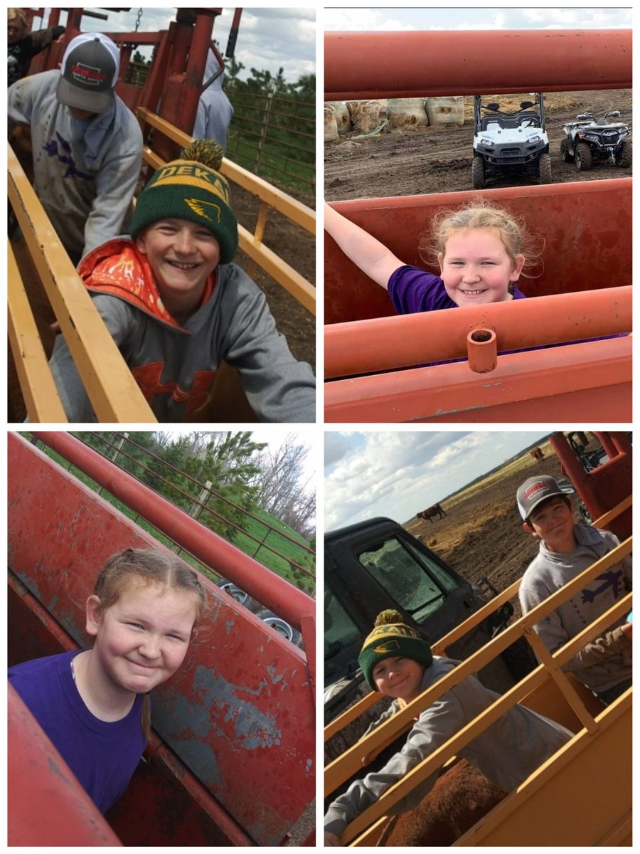 Kids &amp; Cattle at the Neighbors.. It's important in so many ways.. 

#SpringsWork2022 #Farmkids
