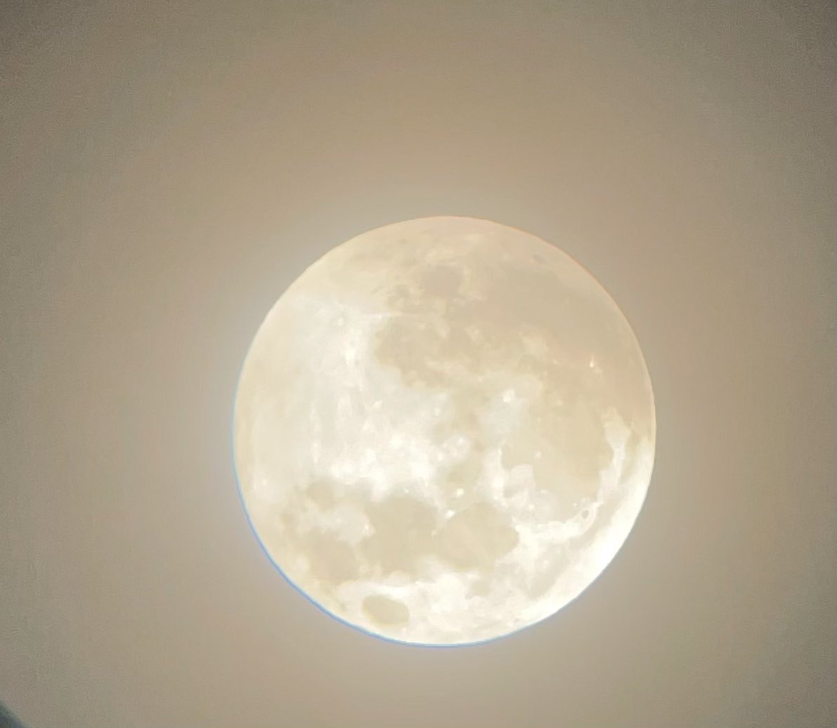 smileitsfree44's tweet photo. #solareclipse2022 #telescopeview 🌝 🔭 https://t.co/bei38tJBWO