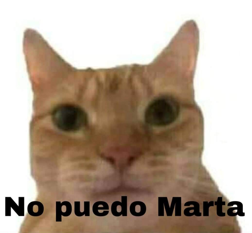 Martin20935142's tweet photo. @MartaGrinder @UNIVERSO_1899 https://t.co/l8OE0MniAn