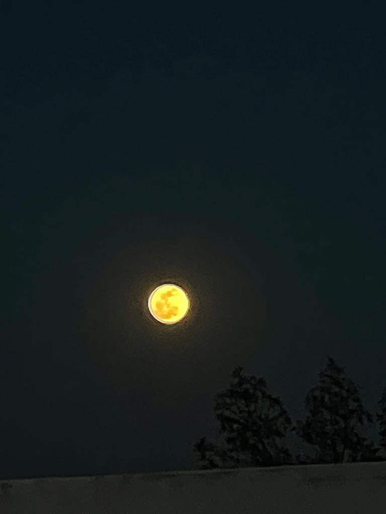 cecyglzgordoa's tweet photo. #EclipseLunar #SLP #EclipseLunarTotal #salgan #cielopotosino #espectacular 🌘🌘🌖🌖🌒🌗🌕👏👏👏👏 https://t.co/NWJo9fpFss