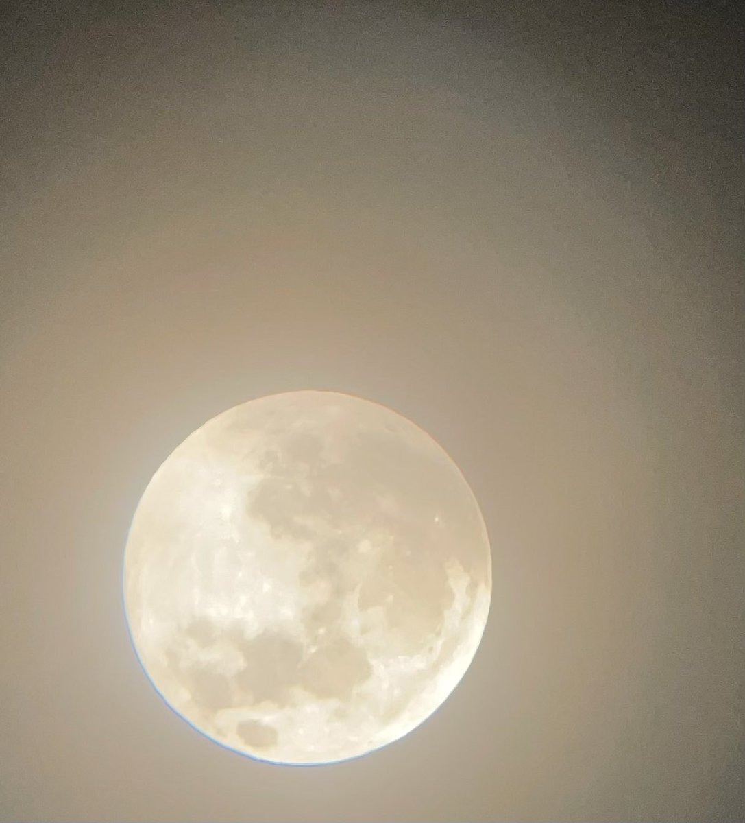 SmileTurn1's tweet photo. #solareclipse2022 #telescopeview
#canadiangeese
#Peopleoutincanoes
🔭🌝✨
📸 are mine 📸 https://t.co/wwYb5K3oAk