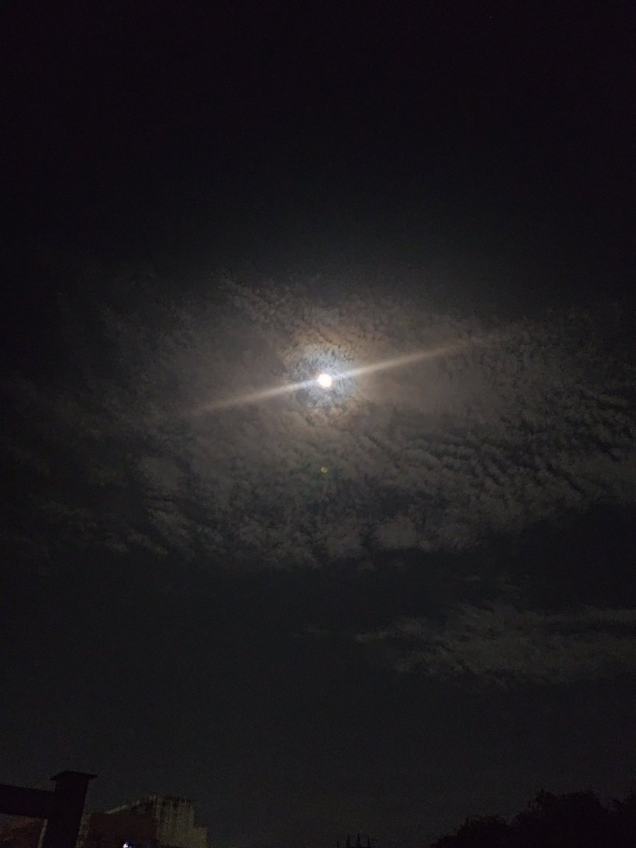 MichelleRanall2's tweet photo. Comiendo unas cotufas mientras espero el eclipse total. 🍿 https://t.co/bLntKhVSAq