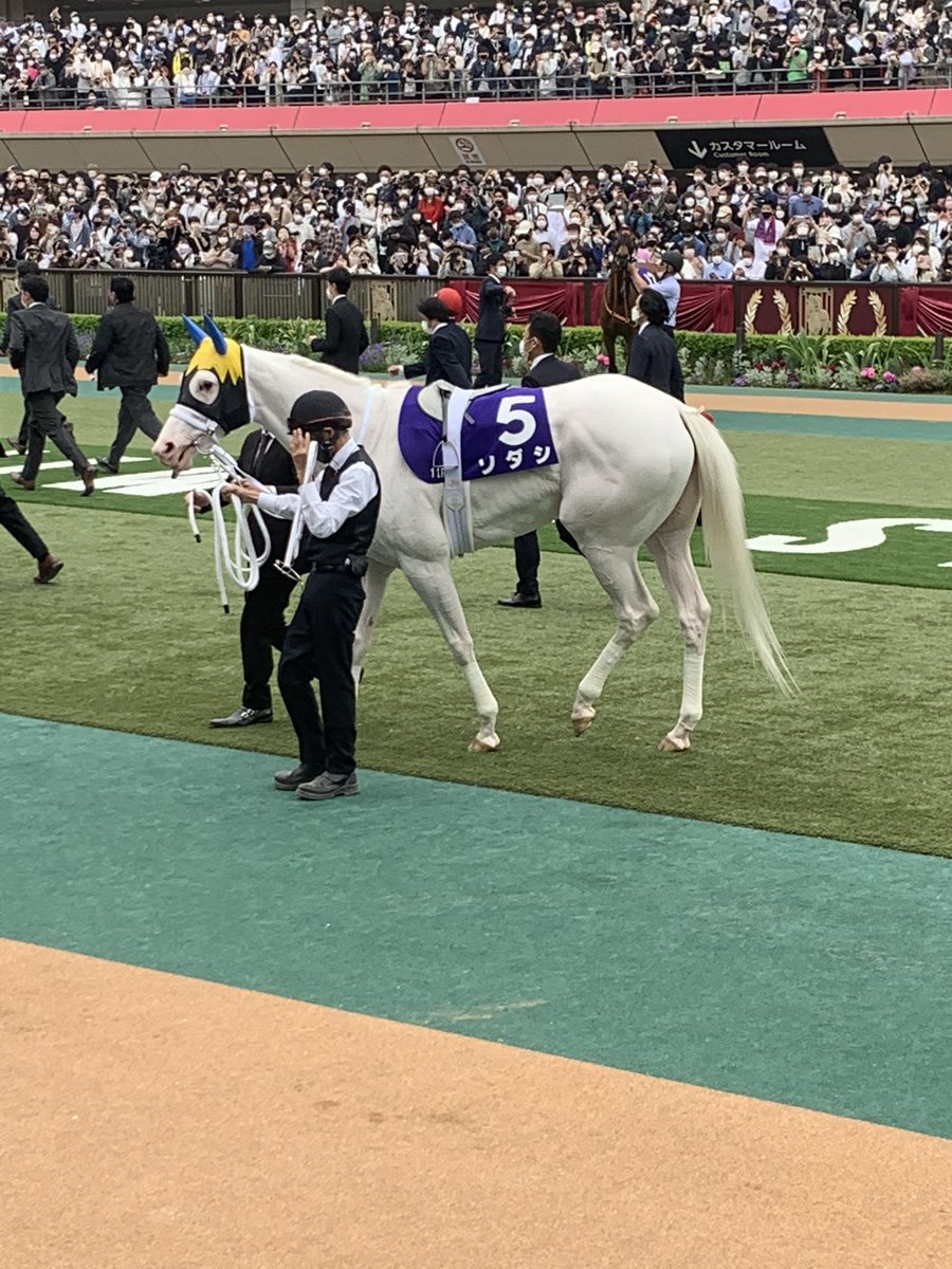 moco80741812's tweet photo. 昨日はソダシちゃんを応援しに東京競馬場へ。
初めて見るソダシちゃんに胸がいっぱい、、、。
無事完走良かった！本当に1着おめでとう！感動をありがとう！
#ソダシ　#ヴィクトリアマイル　#おめでとう https://t.co/C6cgPydaRe