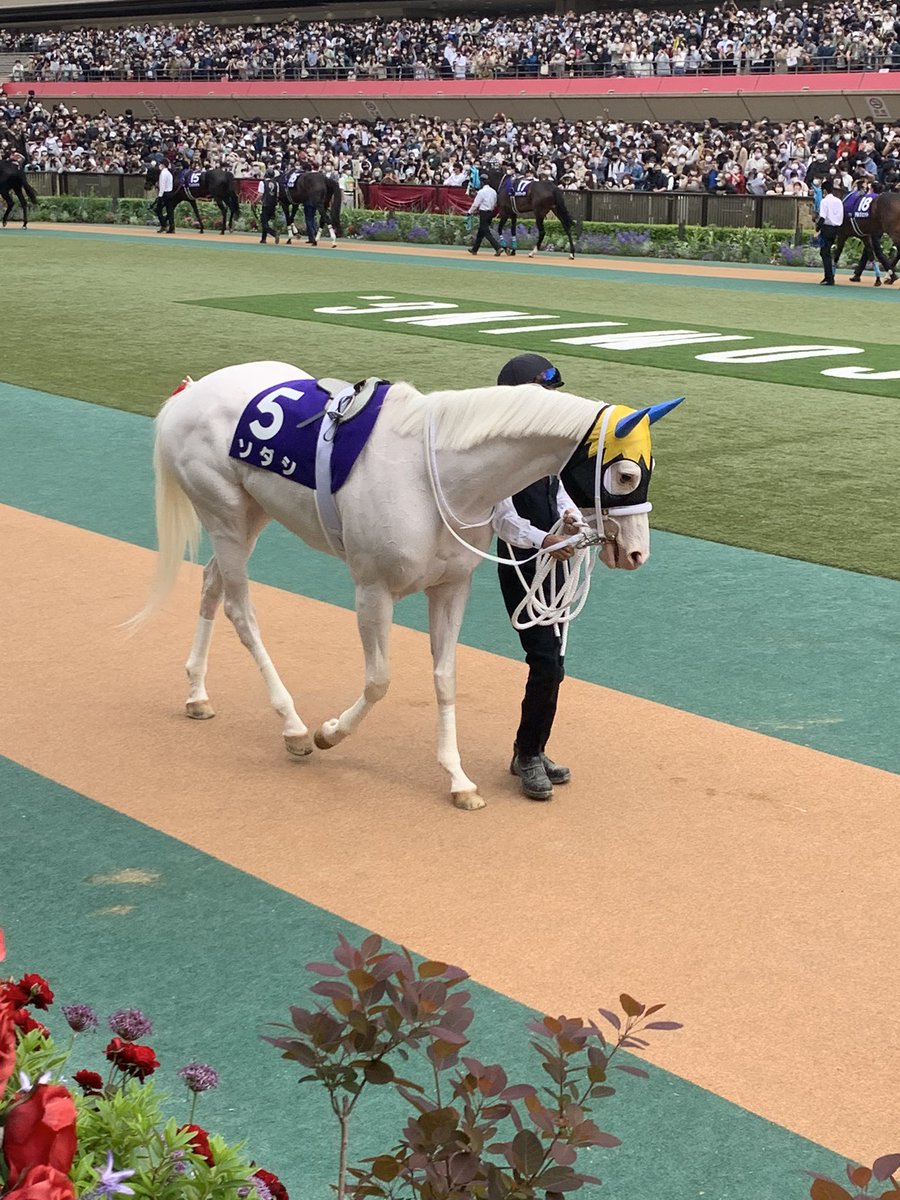moco80741812's tweet photo. 昨日はソダシちゃんを応援しに東京競馬場へ。
初めて見るソダシちゃんに胸がいっぱい、、、。
無事完走良かった！本当に1着おめでとう！感動をありがとう！
#ソダシ　#ヴィクトリアマイル　#おめでとう https://t.co/C6cgPydaRe