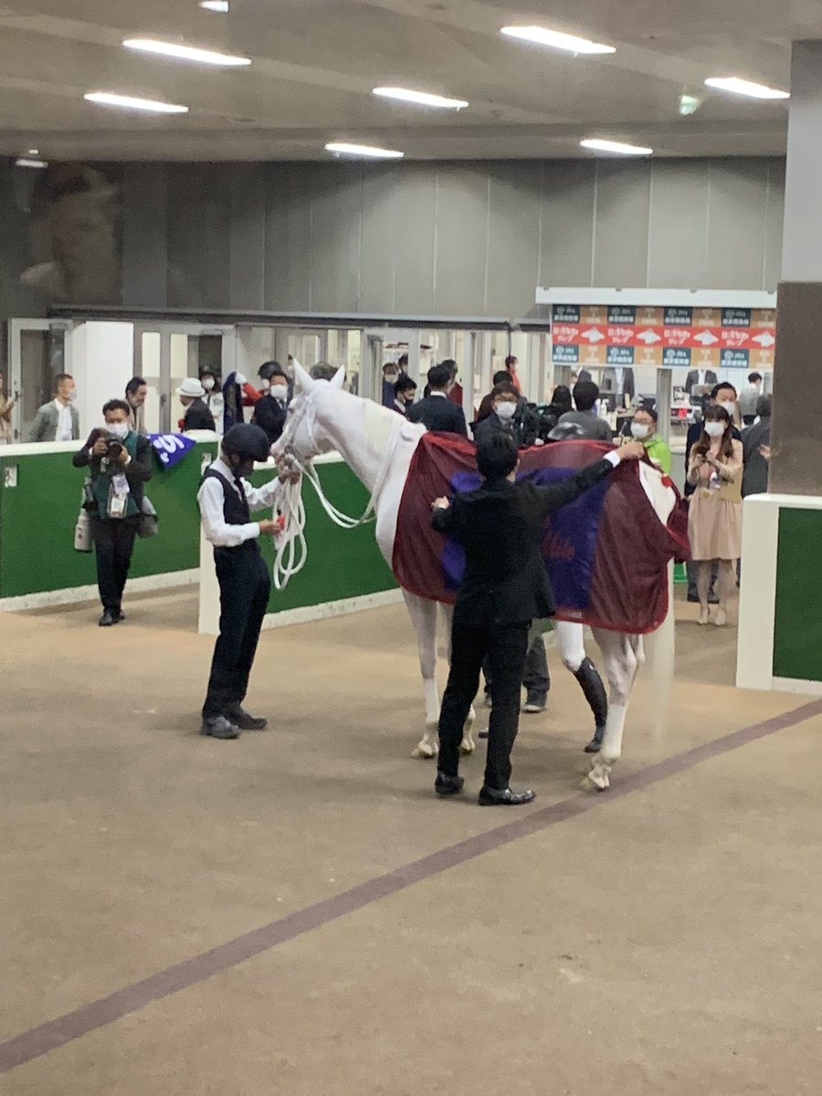 moco80741812's tweet photo. 昨日はソダシちゃんを応援しに東京競馬場へ。
初めて見るソダシちゃんに胸がいっぱい、、、。
無事完走良かった！本当に1着おめでとう！感動をありがとう！
#ソダシ　#ヴィクトリアマイル　#おめでとう https://t.co/C6cgPydaRe