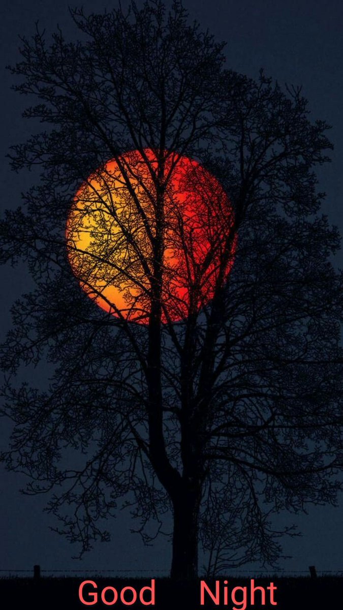 marcobonilla553's tweet photo. Good Night Twitter World
#moonred https://t.co/h7KfFbsHiI