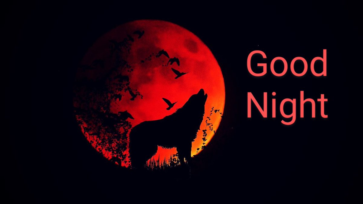 marcobonilla553's tweet photo. Good Night Twitter World
#moonred https://t.co/h7KfFbsHiI