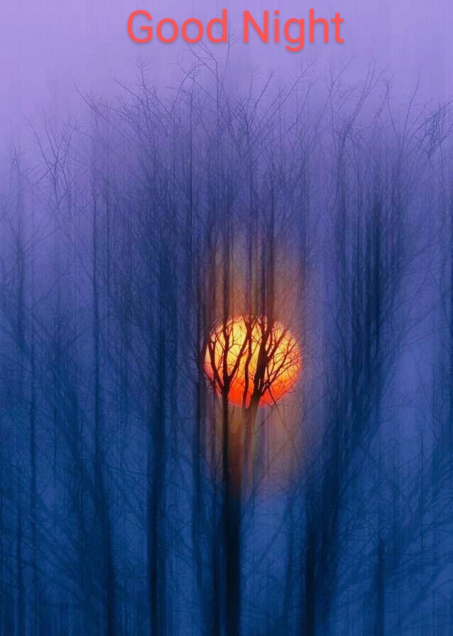 marcobonilla553's tweet photo. Good Night Twitter World
#moonred https://t.co/Ygz5ln6IVB