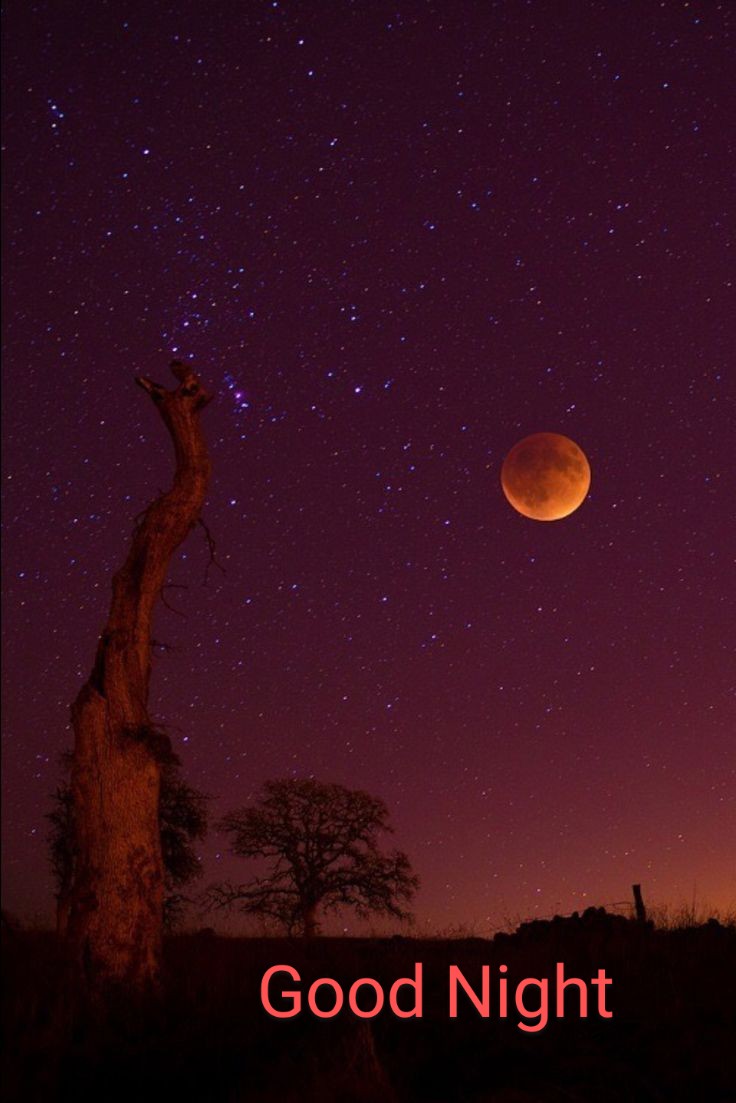 marcobonilla553's tweet photo. Good Night Twitter World
#moonred https://t.co/Ygz5ln6IVB