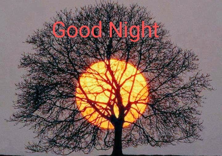 marcobonilla553's tweet photo. Good Night Twitter World
#moonred https://t.co/Ygz5ln6IVB