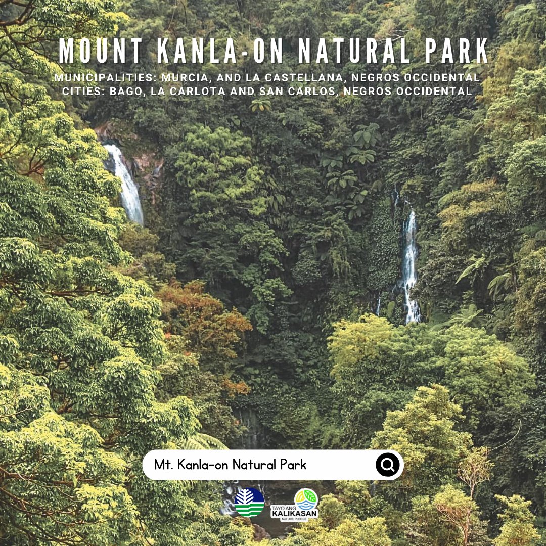 DenrVisayas's tweet photo. EXPLORE: Mount Kanla-on Natural Park, the center of plant diversity of the Philippines identified by the Threatened Plant Unit of Kew, England. https://t.co/aLh1zRDVBX