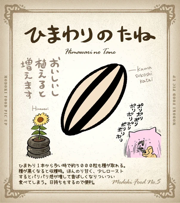 ひまわりのたね🌻 