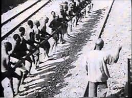Fruttidiboscog's tweet photo. @Harrybear5543 @Alby_Bach @JamesBolton11 @RinAldrin_Lives Why are you trying to attack Japan while ignoring centuries of Western colonial rule? If Japan had not fought the West, Asia would still be a Western colony. https://t.co/thZlYvZPvf