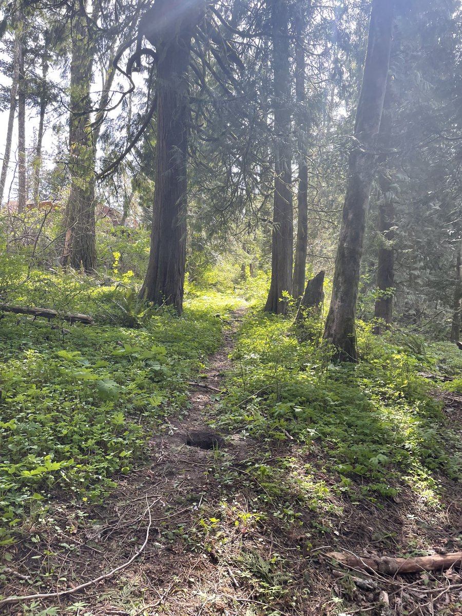 Dr. Derek Fialkiewicz tweet media