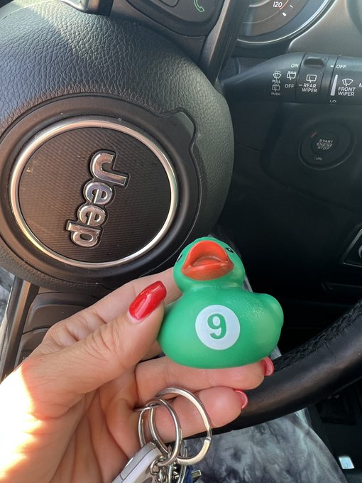 Jeep Ducking! https://t.co/a20QadTY3h<a href="/tag/realloyalfans"class="tags"><span>#realloyalfans</span></a>