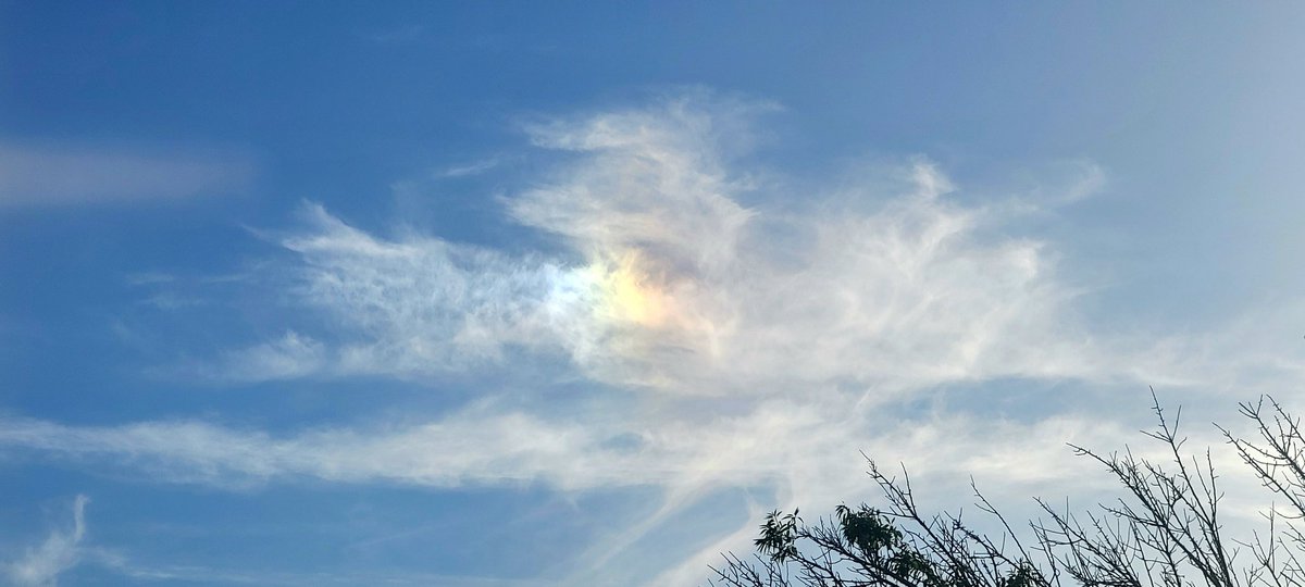 andyjump1118's tweet photo. 22° #sundog. Hoping #clouds will clear out for the blood moon lunar eclipse. @NWSHanford @StormHour @CloudAppSoc #wxspotter #cloudspotter #cloudporn https://t.co/QgZbfFpIed