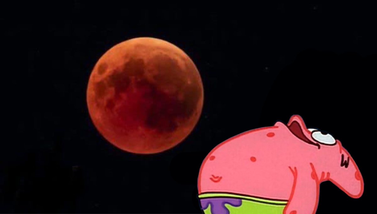 Guarromantico_'s tweet photo. Nadie:

Yo saliendo a ver el #EclipseLunar https://t.co/5cCrL5tXqC