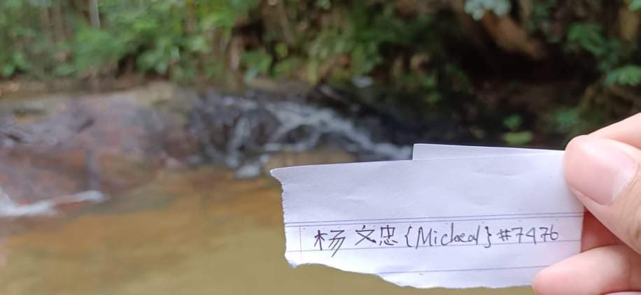 Michael21040102's tweet photo. Going on to a small waterfall and pond for this sunday. Relaxing from all this market dump and take a breath in nature.
#LonelyPopUnplugged 
@LonelyPopNFT https://t.co/3pcmSLnIJu