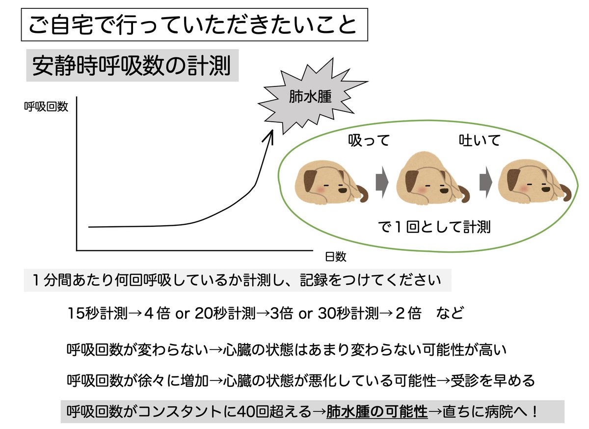 TACTS2022's tweet photo. 【安静時呼吸数計測のススメ】
心臓病罹患動物の自宅での状態把握には安静時呼吸数の測定がもっとも役に立ちます

毎日計測し記録をつけることで🐶の状態変化をより正確に把握することができます
明らかに見た目苦しそうになる前に病院に連れて行くことでより早期に治療介入が可能となります https://t.co/cUQbWHHnRQ