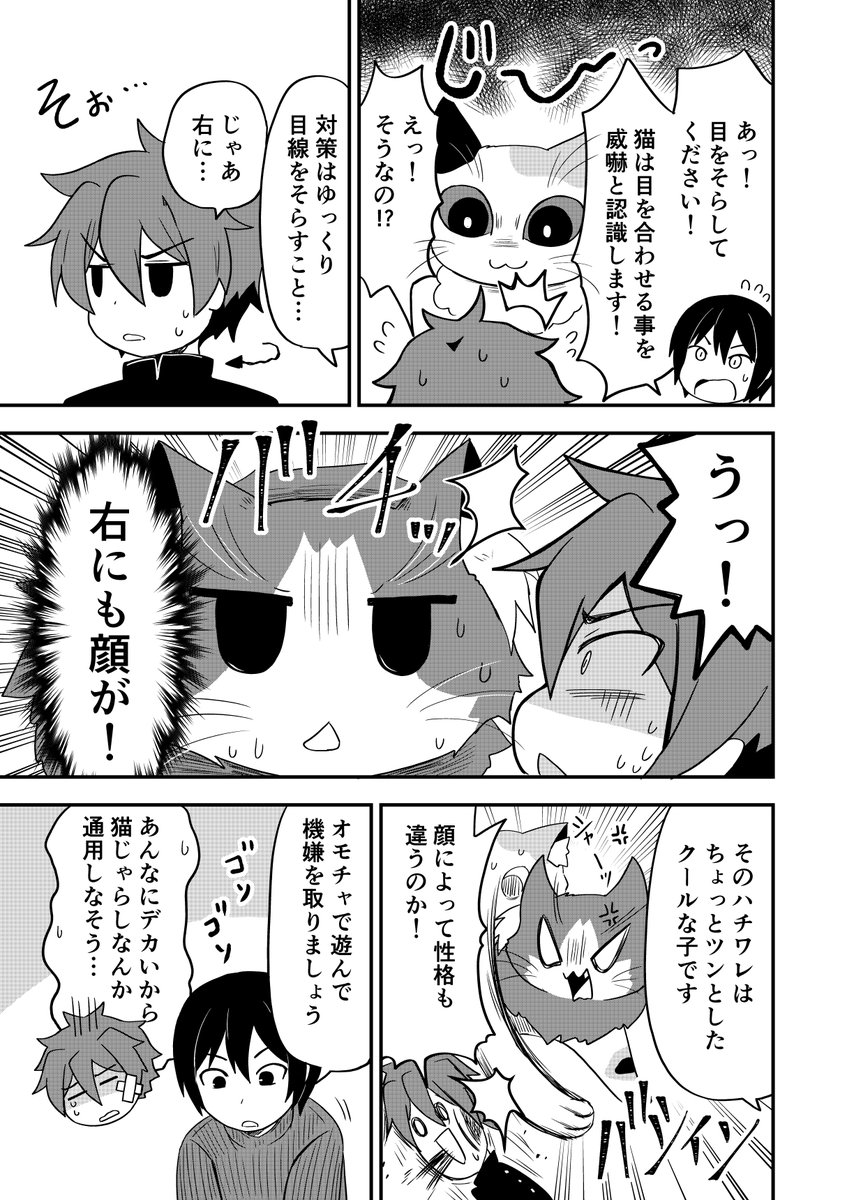 三つ首の巨大猫を飼う話 2/6
#漫画が読めるハッシュタグ
#創作漫画