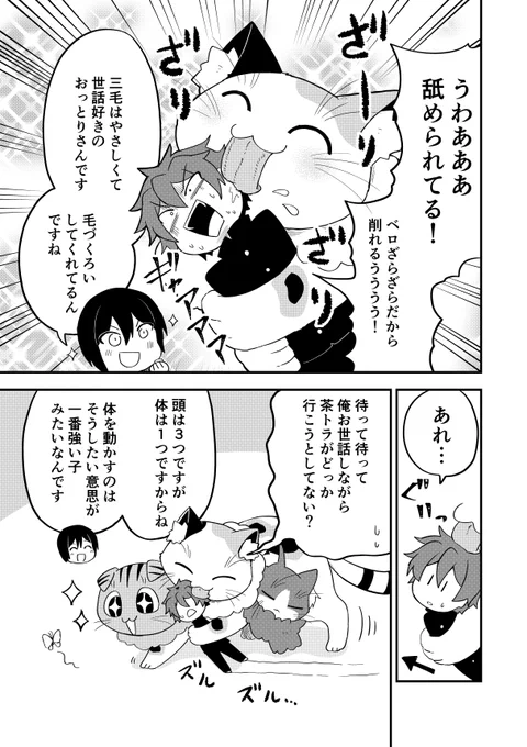 三つ首の巨大猫を飼う話 3/6
#漫画が読めるハッシュタグ 
#創作漫画 
