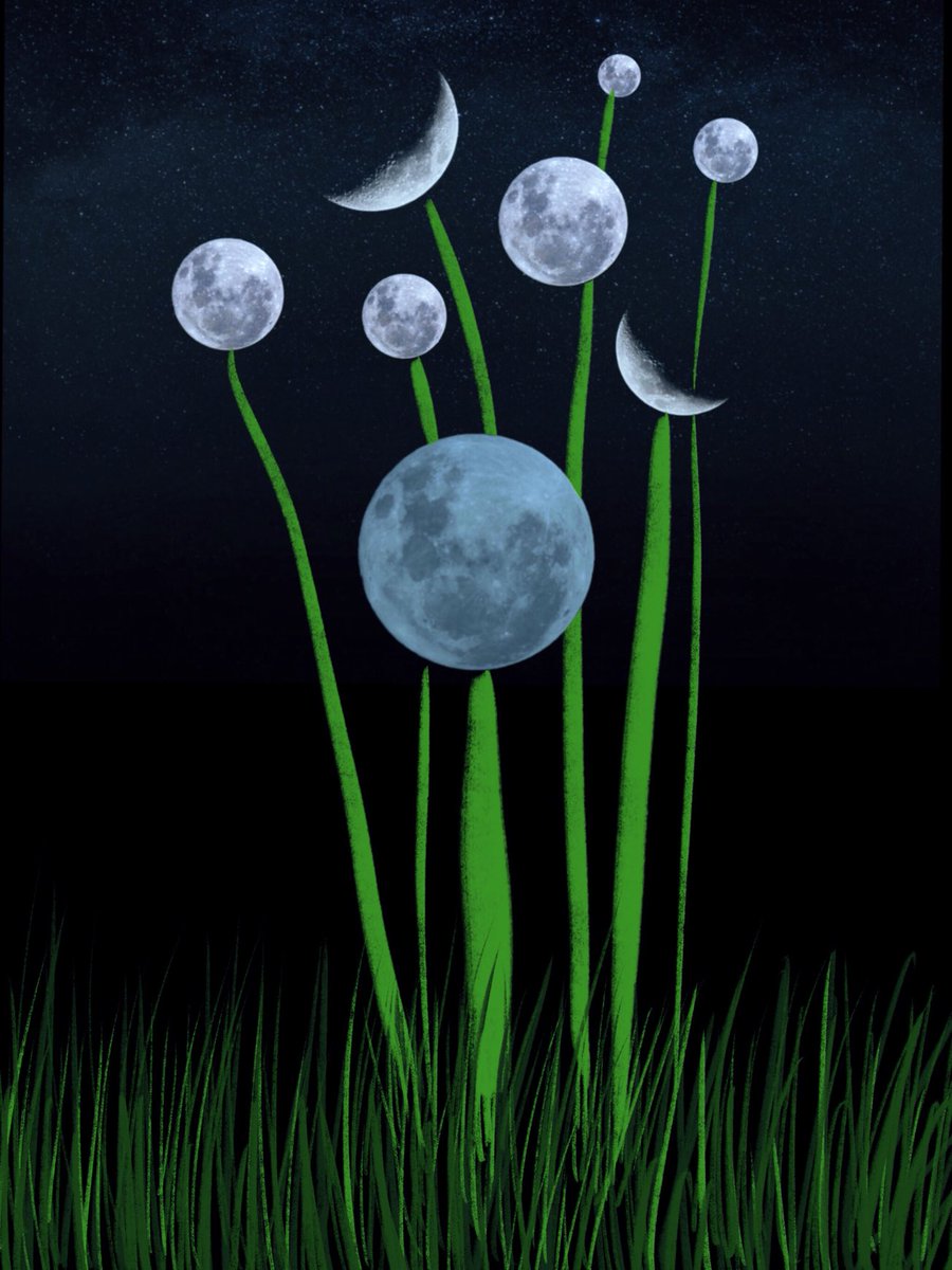 YourMoonliness's tweet photo. how to grow moons https://t.co/v7f2TT1Ei6