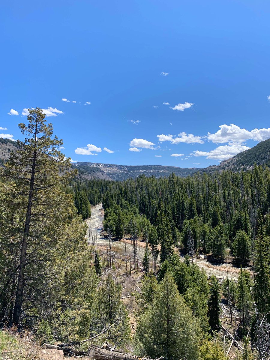 Spring in the Uintas!