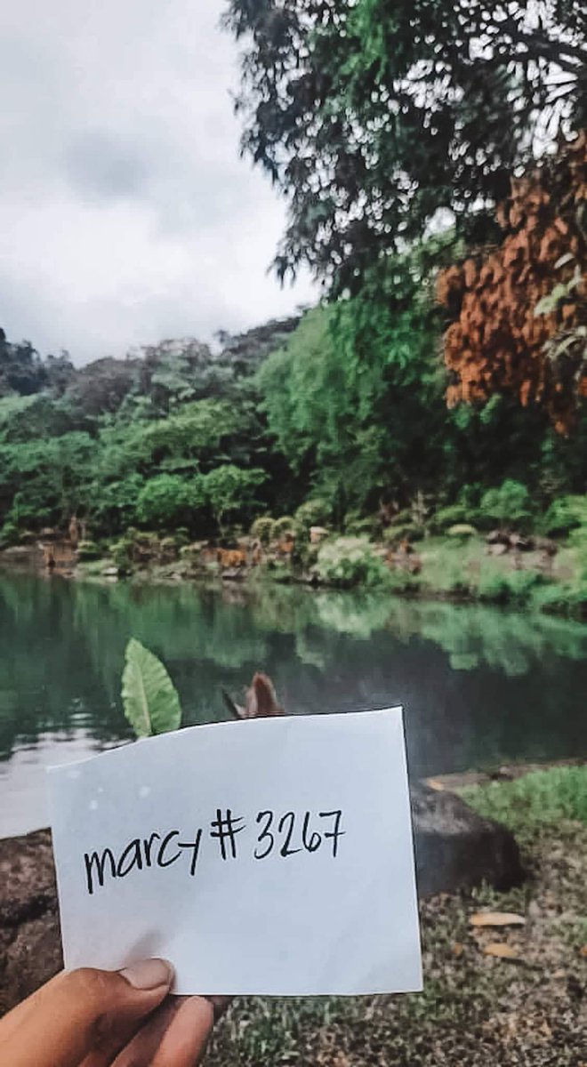disconnecting from the densely populated and polluted city life and calming my nerves by breathing in fresh air while basking with nature.

<a href="/LonelyPopNFT/">LonelyPop 🍭</a> <a href="/0xsoupnft/">soup</a> <a href="/rei_0xstudio/">RΞi</a> <a href="/radiosolace/">radiosolace</a>

#LonelyPopUnplugged