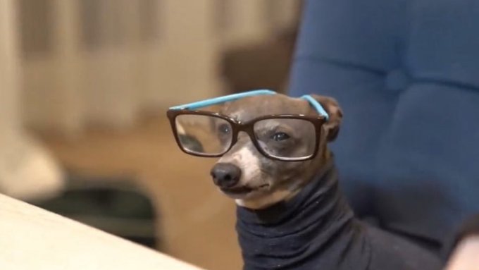 Unless you&rsquo;re a human hair business 😅 https://t.co/ArJEv9b0Ug