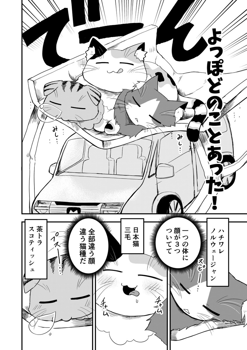 三つ首の巨大猫を飼う話 1/6
#漫画が読めるハッシュタグ
#創作漫画