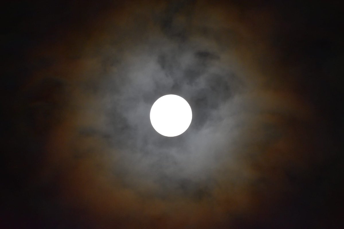 MAGAYASA's tweet photo. @todonoticias #eclipseentn DESDE LOS TOLDOS. BS. AS. https://t.co/r0Tv8Lox1V