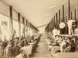 Fruttidiboscog's tweet photo. @Harrybear5543 @Alby_Bach @JamesBolton11 @RinAldrin_Lives Why do you ignore the fact that it was the West that exploited Asia's resources for centuries? https://t.co/Xv2HZK8KW2