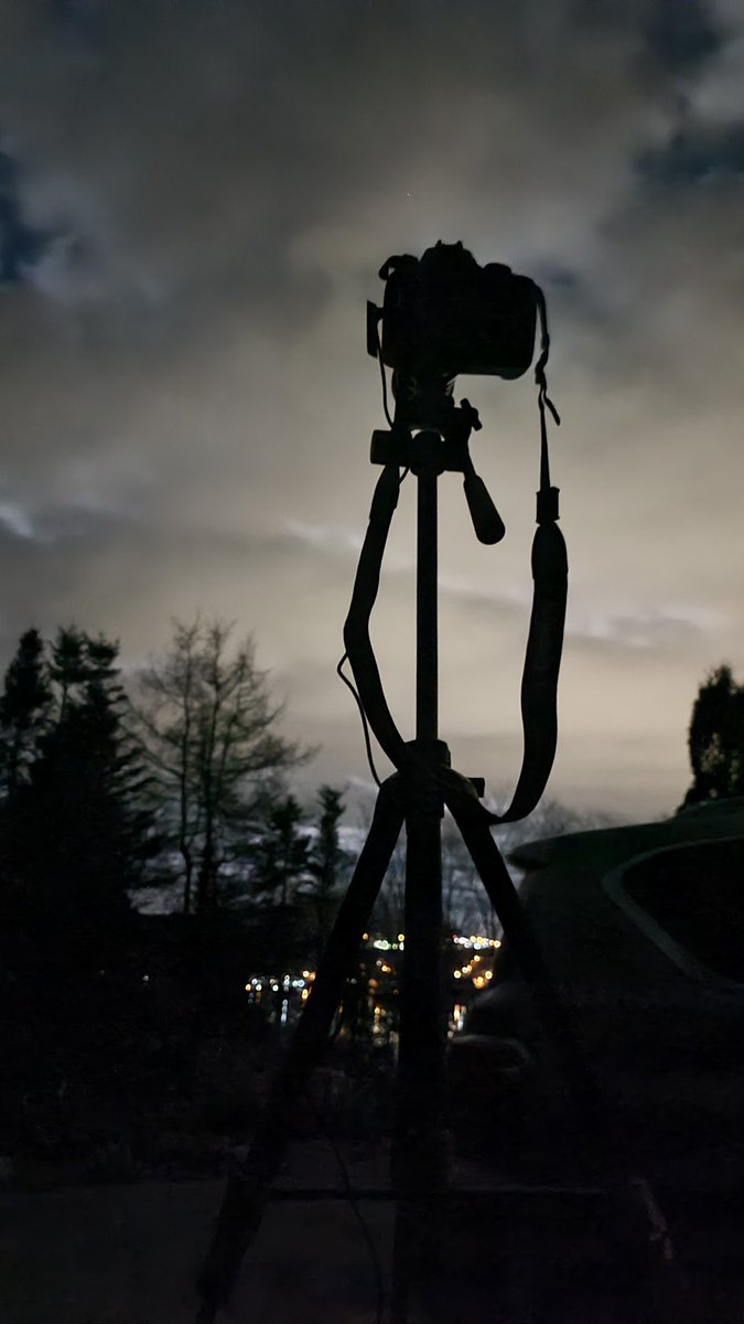 Aaron Pauley tweet media