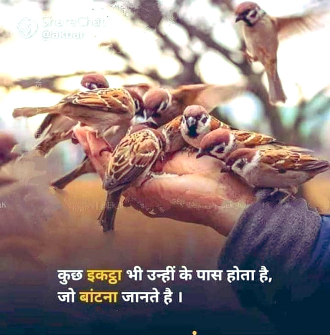 TThoria's tweet photo. #GoodMorningEveryone #spreadlove #dogooddeed #loveyourself #behappy #bekind #stayblessed😇🧿🙌😍 https://t.co/yX1r7Babmy