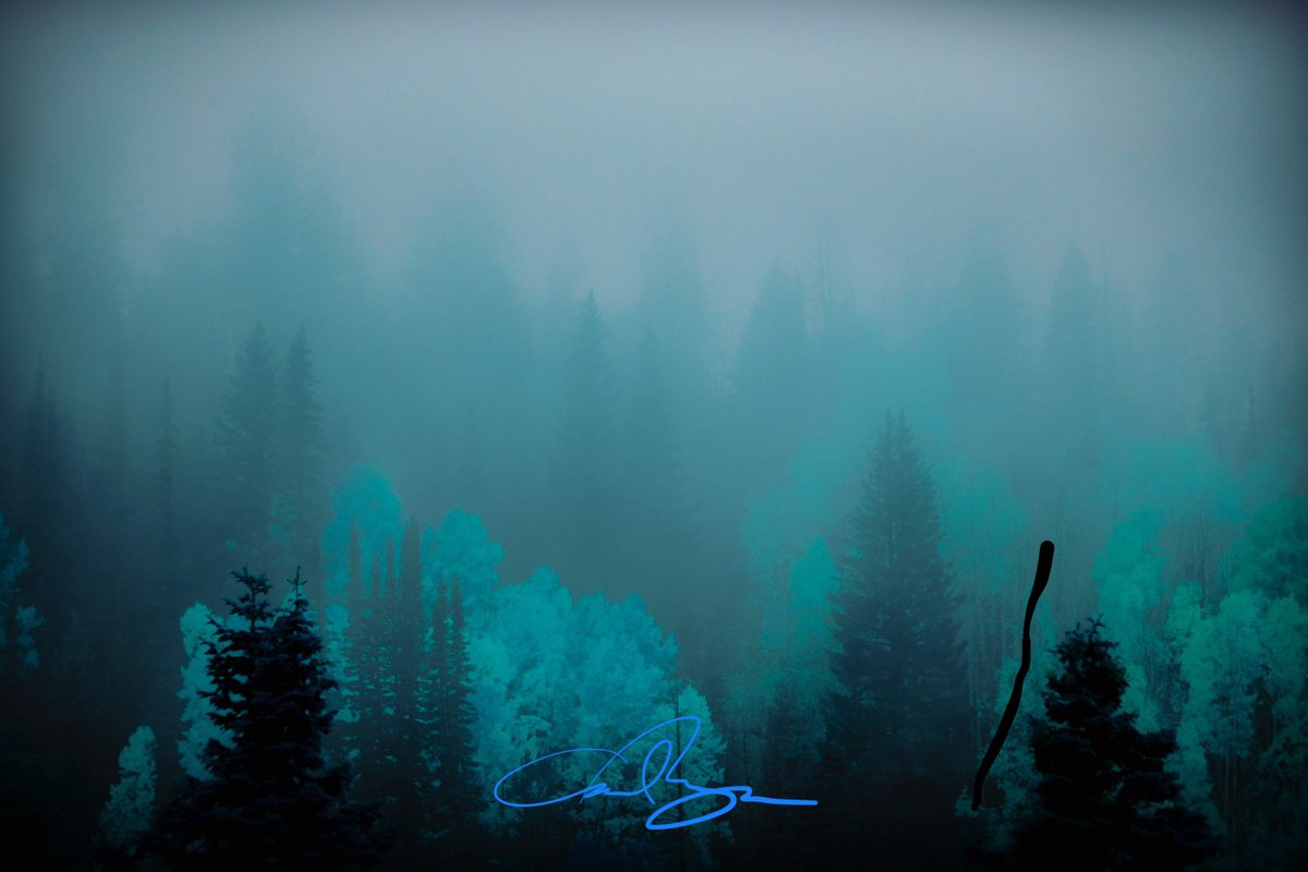 carlmazurphotos's tweet photo. @jdysonphotogra1 In the mood. #moody #mood #utah #utahgram #igutah #utahtweet #soutah #utahisrad https://t.co/hxXc8zRiH8