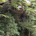 ツイートに含まれる画像