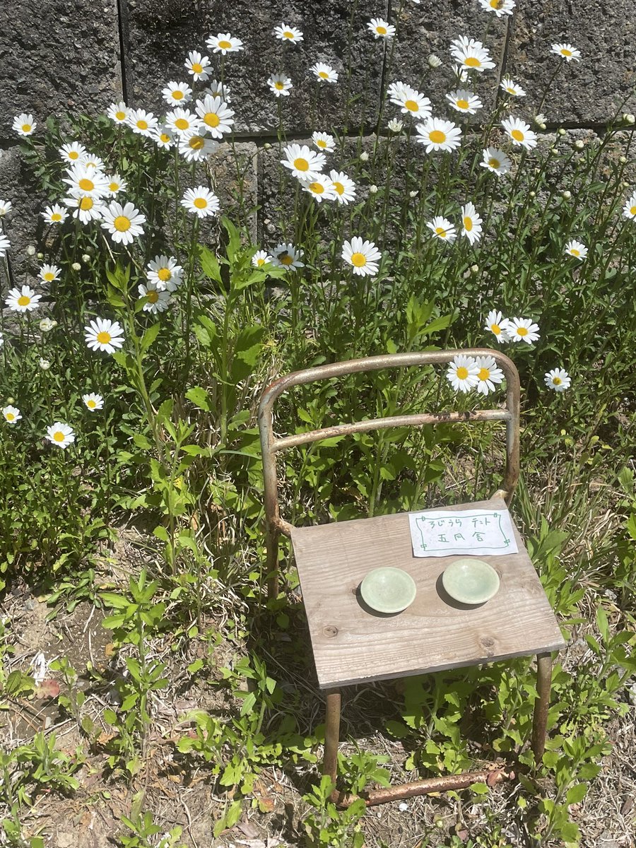 22_h_pip's tweet image. 陶器市で買ったお皿が好きすぎて、眺めてるだけでもにやにやしちゃう。
結構買ったなとか思ったけど、まだまだ欲しい〜、、来年また絶対行こう、、。