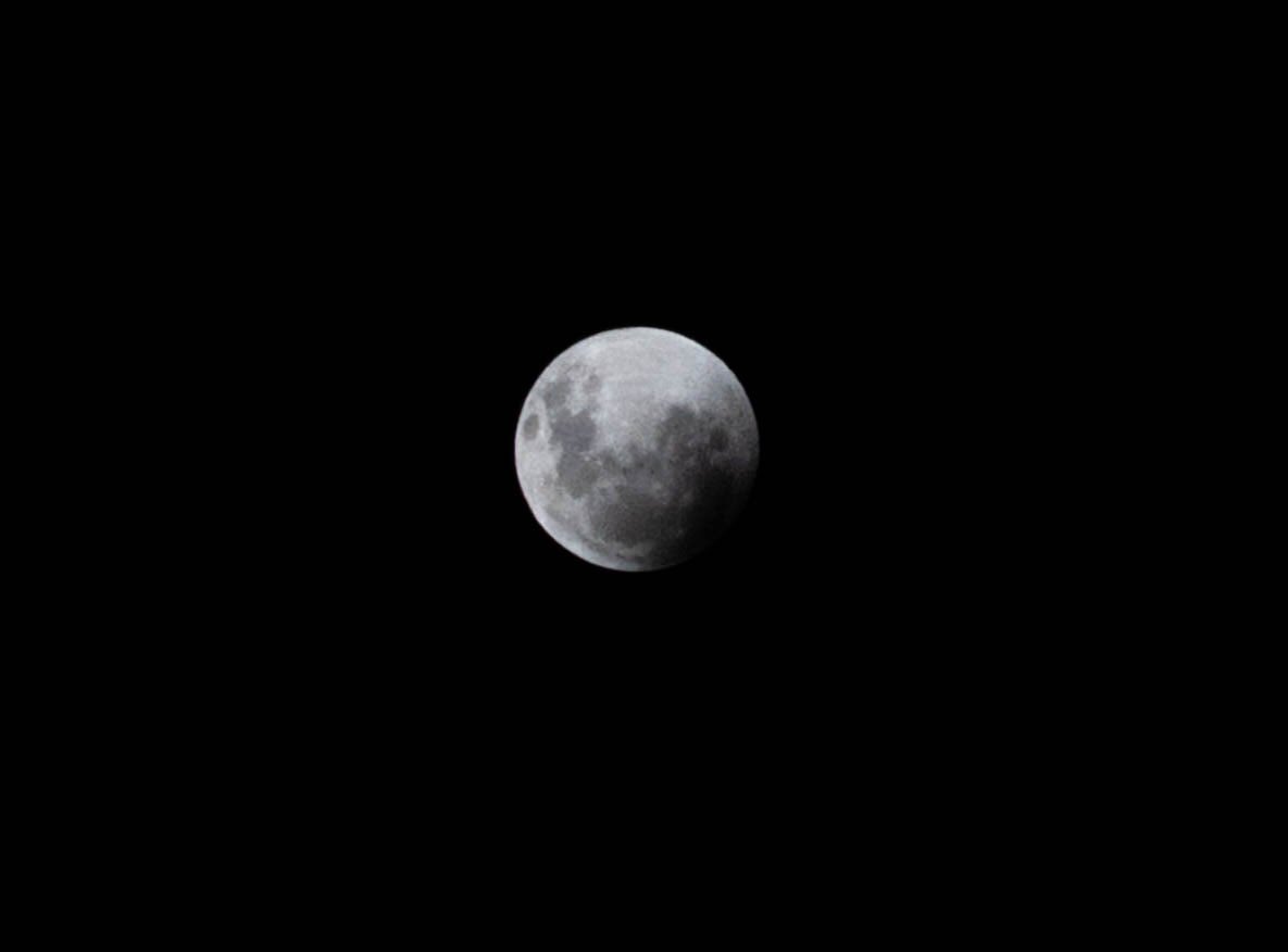 Momento épico ein?

Uma lente de só 100mm não ajuda tanto mas tá aí minha contribuição 😂😅

Uma pequena grande Lua 🌘

#EclipseLunar