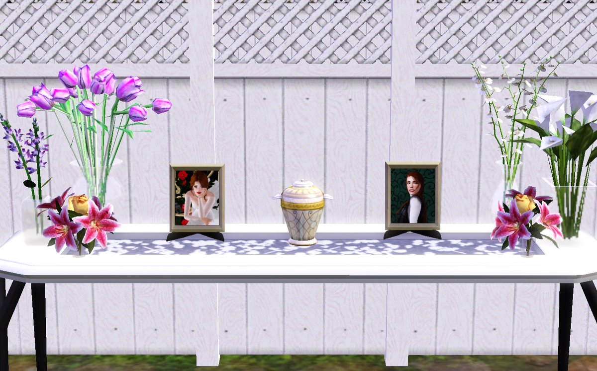 LyndseyLuke's tweet photo. #RIPDanielle Ezra has just lost the love of his life, the mother of his son Connor, his beautiful wife Danielle 😭💔 "...I love you. Goodbye, beautiful..." #TheSims3 #LEpacy #Gen8 @sparklyplumbob @sublimedsims @AshleyDevine @simselfseries @lily_dal @sharonia_sims @PlumblobbyYT https://t.co/56la2MIU7S