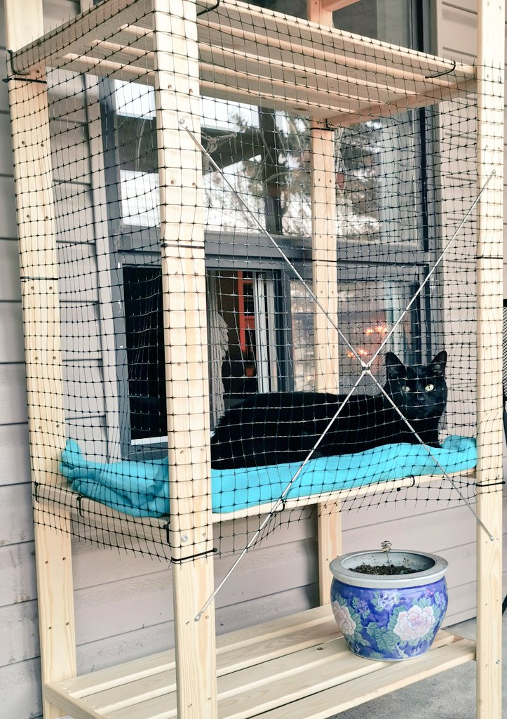 britteebeee's tweet photo. Sunday Funday = Catio DIY Project.
Yes, I am THAT cat mom. And he LOVES IT π€π
#sorrynotsorry #catiodiy #catio #ikeadiyhack #tiktokmademedoit #catmama #littlepanther #housepanther #Norman #sundayfunday https://t.co/S7hm2tKHLR