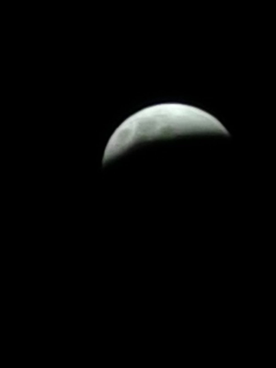CaritoFSC's tweet photo. #eclipselunar #vicuña https://t.co/eSVsd1og4Y