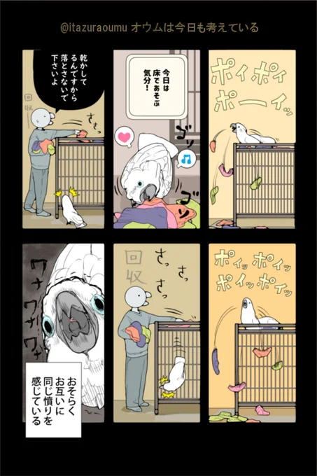 飼い主が我を通しました 