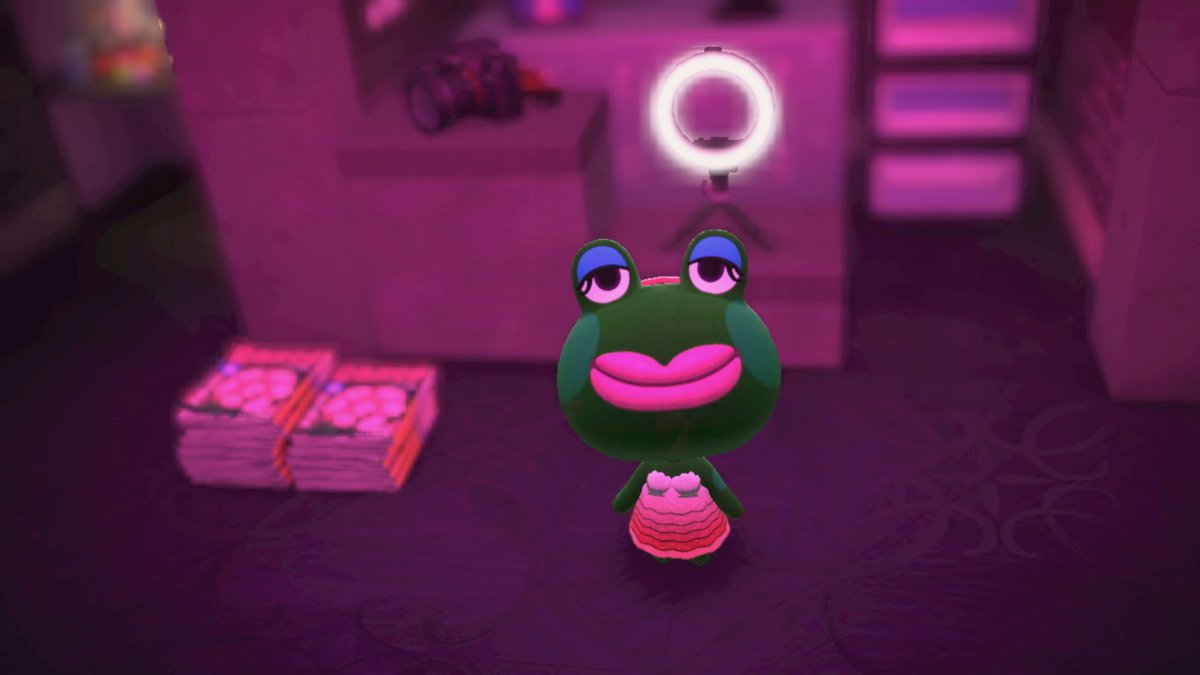 skinnamina's tweet photo. Lol Jambette wants to teach make up as she should, queen of hot pink it girl lips #AnimalCrossing #ACNH #NintendoSwitch https://t.co/CQgJ9vMoI4