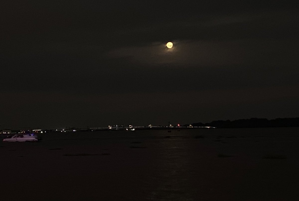 Lizzy 🌎✈️ tweet media