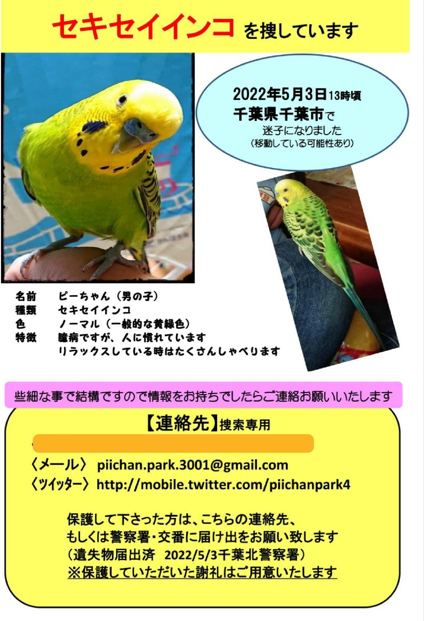 インコのピーちゃん様オーダー　播州織　タオルサイズ インコのピーちゃん様オーダー 播州織 タオルサイズ 楽天市場