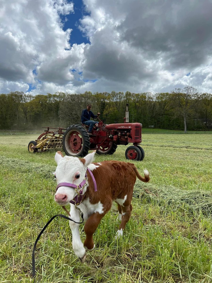 MachineryPete's tweet photo. Best pic of the weekend…from my friend Crystal Mae Rothe in CT https://t.co/wmJB8QBvk7