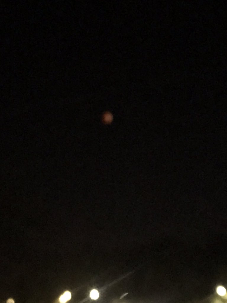 Boomer_Buns's tweet photo. Go look at the moon now!! https://t.co/XmsJcWLKzS