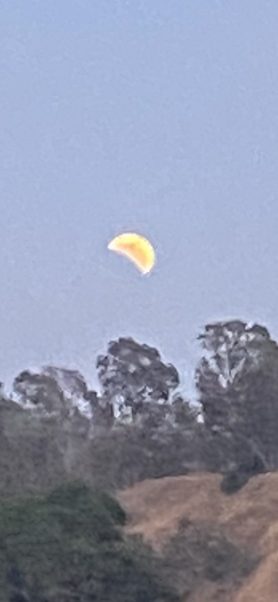 flyinsouth's tweet photo. Lunar Eclipse San Diego. #NASA #LunarEclipse https://t.co/pg7e0MXOHk